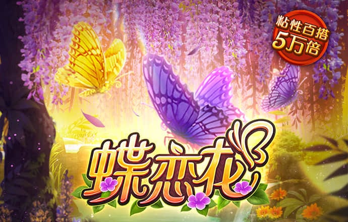 hth全站登录